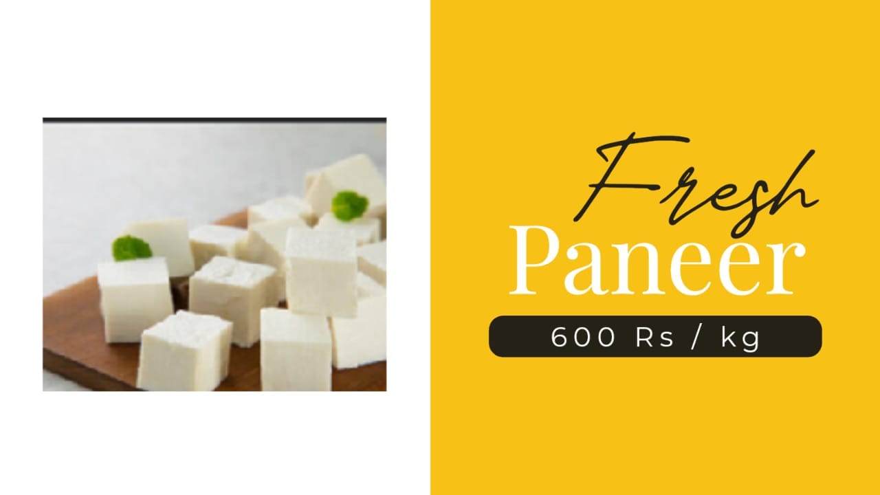 Pure Cow Milk Paneer